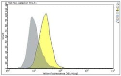TSLP Receptor, Mouse anti-Human, Clone: 1A6, Millipore Sigma:Antibodies:Primary